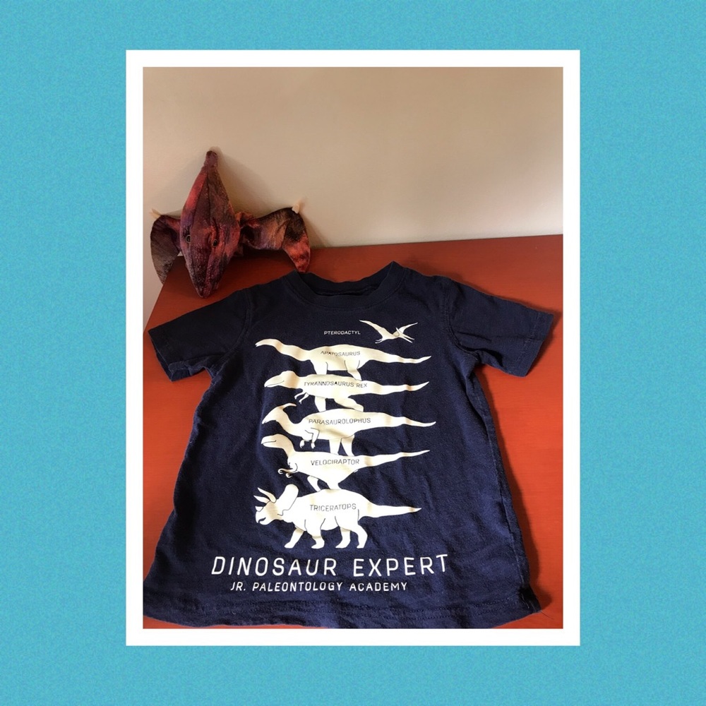Glow in the Dark Dino Shirt